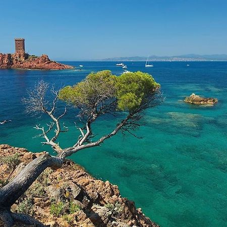 Appartement Frejus Avec Jardin, Piscine, Plage, Tennis 外观 照片